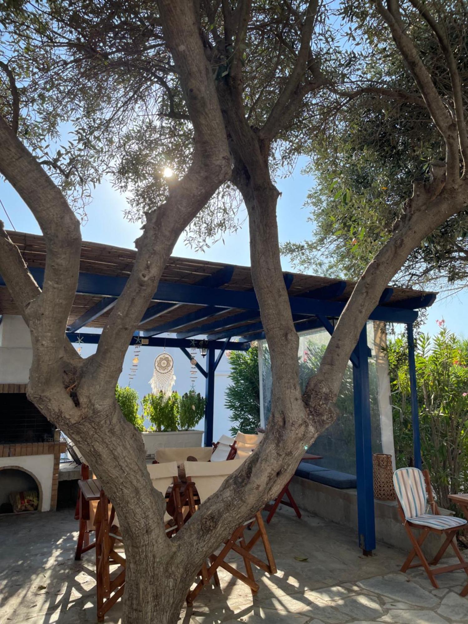 Villa Gelly'S Studios Alikí Exterior foto